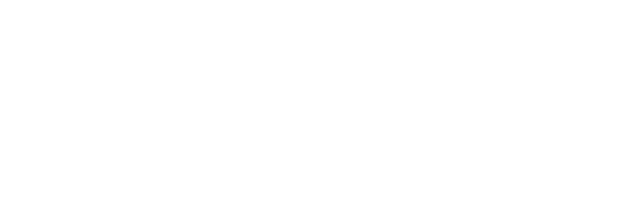 WYSE Travel Confederation Member