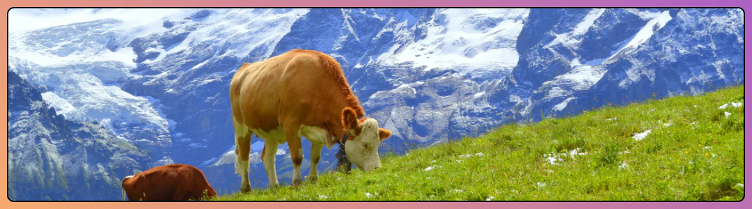 Prácticas Agricultura Suiza