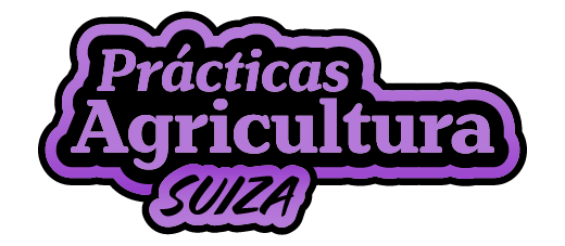 Program Logo