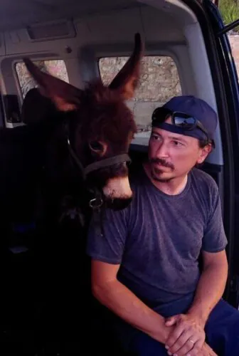 Animal care